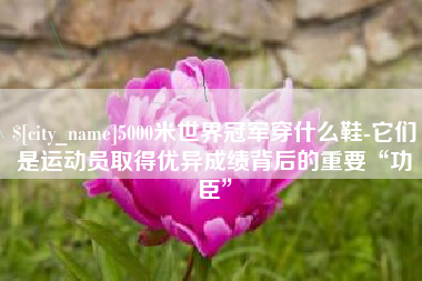 明港5000米世界冠军穿什么鞋-它们是运动员取得优异成绩背后的重要“功臣”