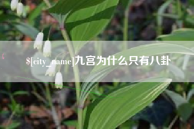 明港九宫为什么只有八卦