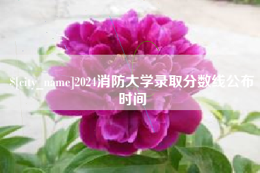 明港2024消防大学录取分数线公布时间