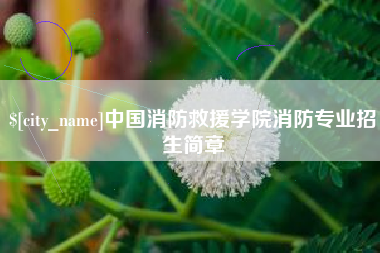明港中国消防救援学院消防专业招生简章