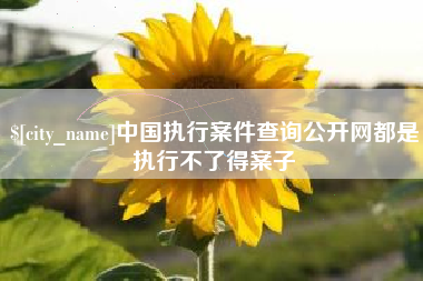 明港中国执行案件查询公开网都是执行不了得案子