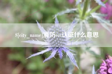 明港消防ccc认证什么意思