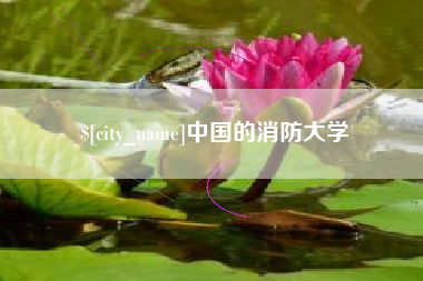明港中国的消防大学