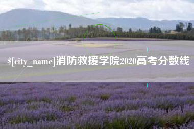 明港消防救援学院2020高考分数线