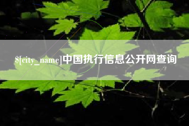 明港中国执行信息公开网查询