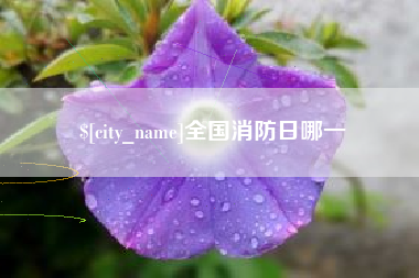 明港全国消防日哪一