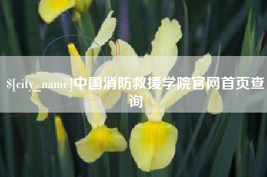明港中国消防救援学院官网首页查询