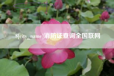 明港消防证查询全国联网