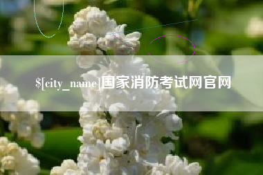 明港国家消防考试网官网