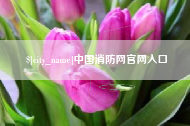明港中国消防网官网入口