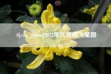 明港2022年九宫格飞星图