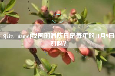 明港我国的消防日是每年的11月9日对吗？