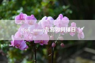 明港九宫如何排日