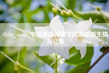 明港中国消防救援学院湖南招生情况公布