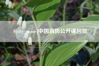 明港中国消防公开课回放