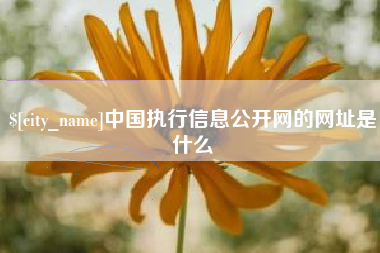 明港中国执行信息公开网的网址是什么