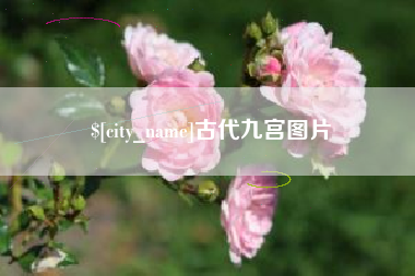明港古代九宫图片