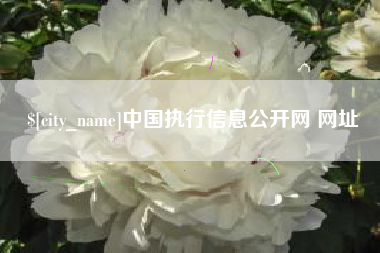 明港中国执行信息公开网 网址