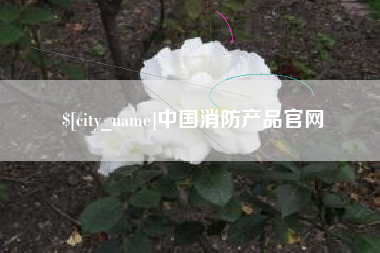 明港中国消防产品官网
