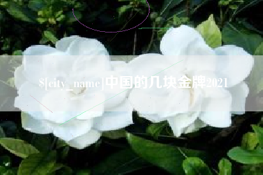 明港中国的几块金牌2021