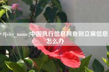 明港中国执行信息网查到立案信息怎么办