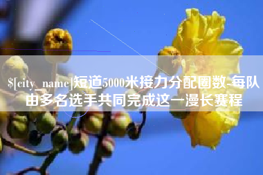 明港短道5000米接力分配圈数-每队由多名选手共同完成这一漫长赛程