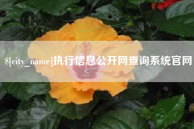明港执行信息公开网查询系统官网