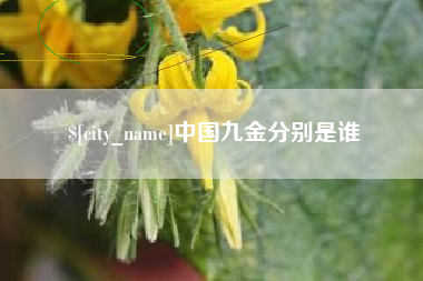 明港中国九金分别是谁