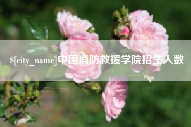 明港中国消防救援学院招生人数