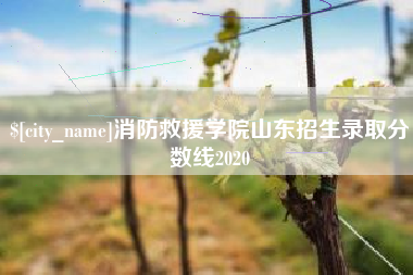 明港消防救援学院山东招生录取分数线2020