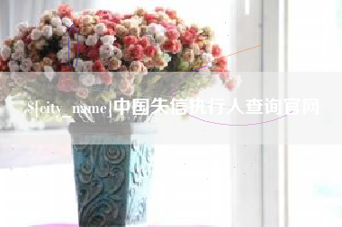 明港中国失信执行人查询官网