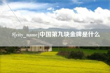 明港中国第九块金牌是什么