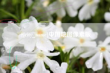 明港中国地图像素版
