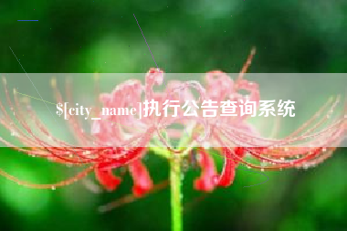 明港执行公告查询系统