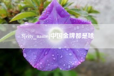 明港中国金牌都是啥