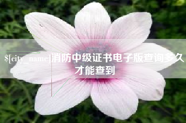 明港消防中级证书电子版查询多久才能查到