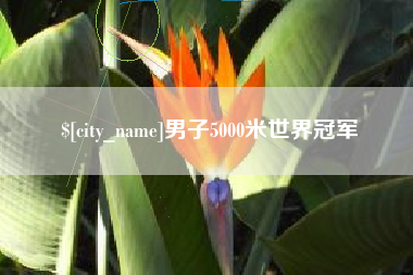 明港男子5000米世界冠军