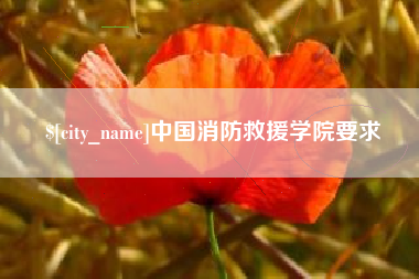 明港中国消防救援学院要求