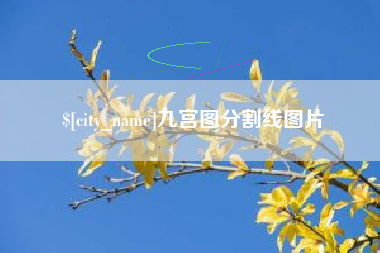 明港九宫图分割线图片