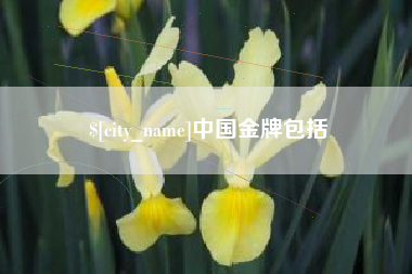 明港中国金牌包括