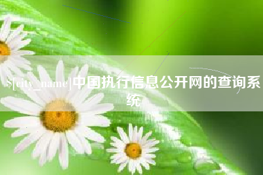 明港中国执行信息公开网的查询系统