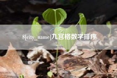 明港九宫格数字排序