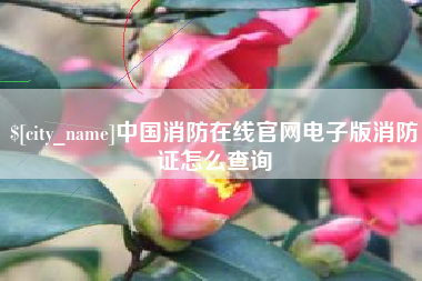 明港中国消防在线官网电子版消防证怎么查询