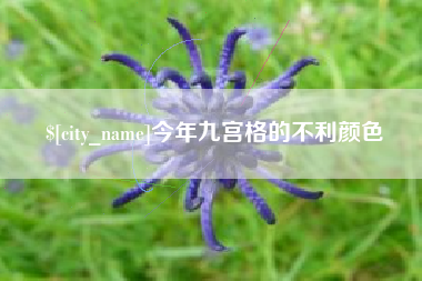 明港今年九宫格的不利颜色