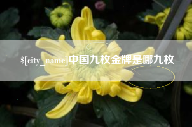 明港中国九枚金牌是哪九枚