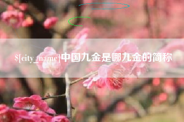 明港中国九金是哪九金的简称