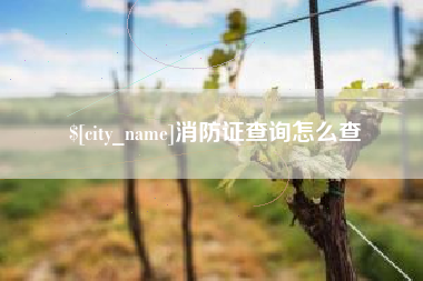 明港消防证查询怎么查