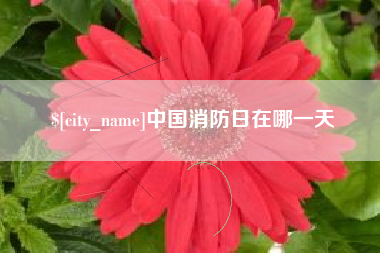 明港中国消防日在哪一天