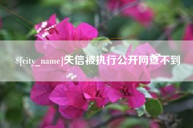 明港失信被执行公开网查不到