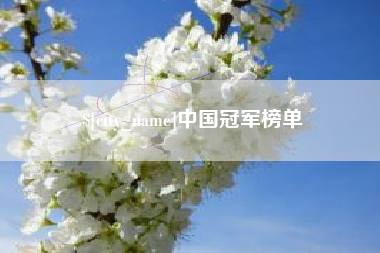 明港中国冠军榜单